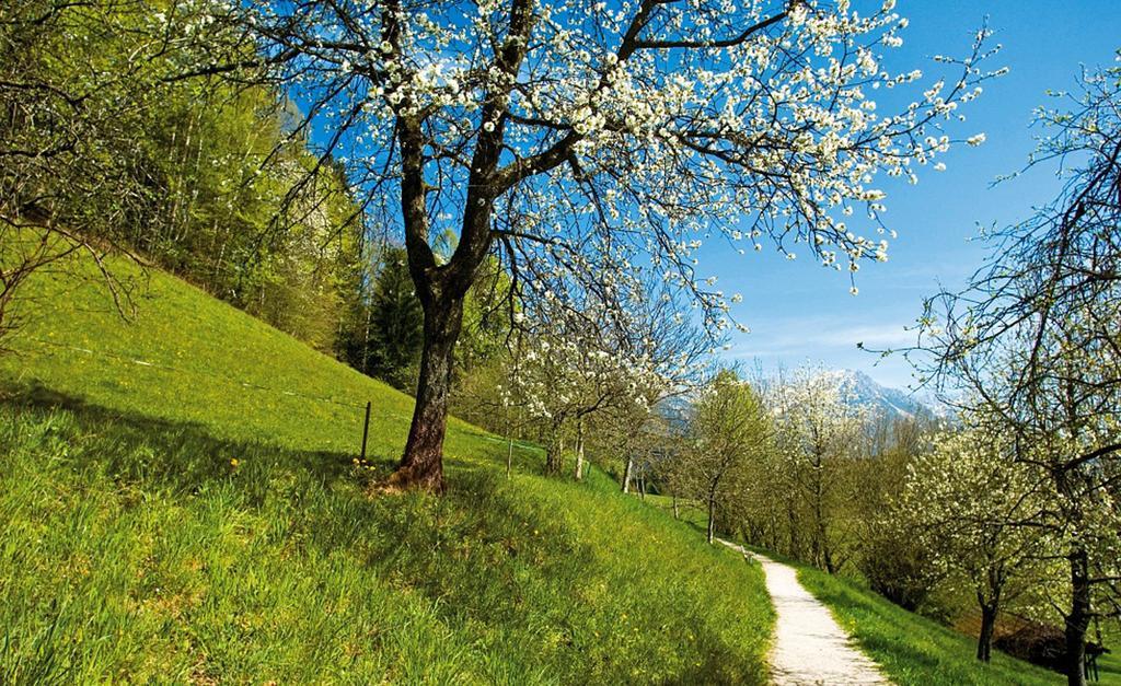 Agerhof Ξενοδοχείο Söll Εξωτερικό φωτογραφία